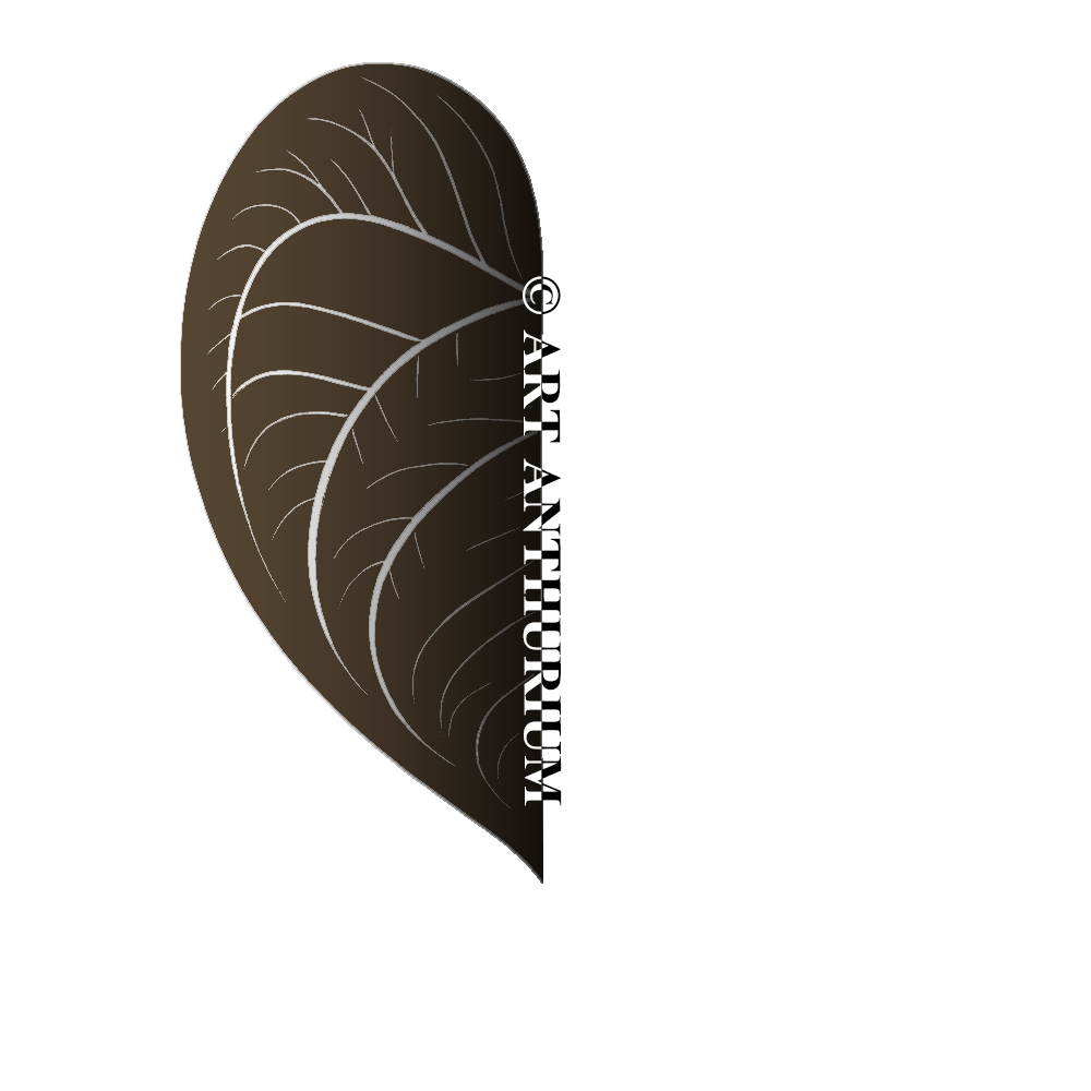 アンスリウム専門サイト｜ART ANTHURIUM（アートアンスリウム）